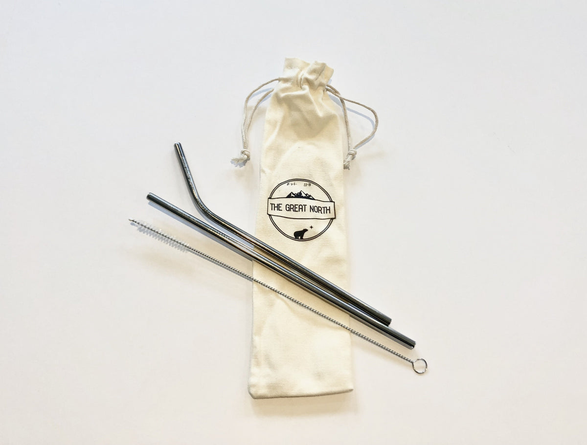 Eco-Friendly Metal Straw (2 pack)